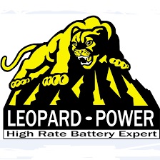 Leopard Power