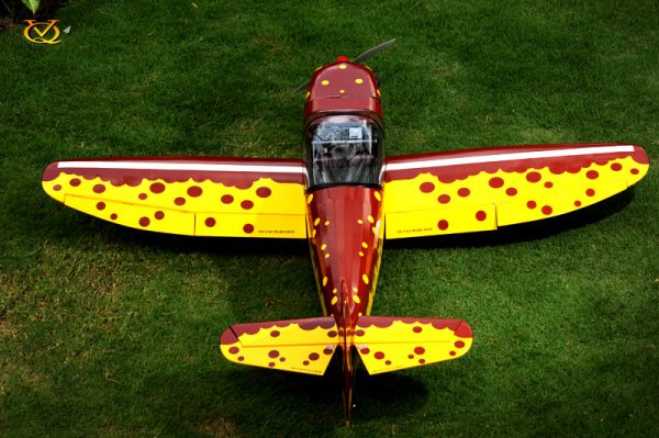 هواپیمای مدل سوختی Cap 10